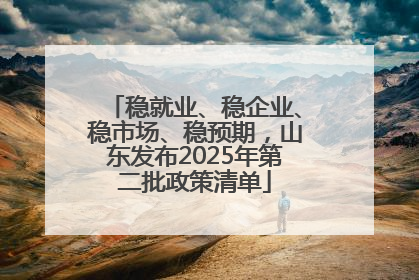 稳就业、稳企业、稳市场、稳预期，山东发布2025年第二批政策清单