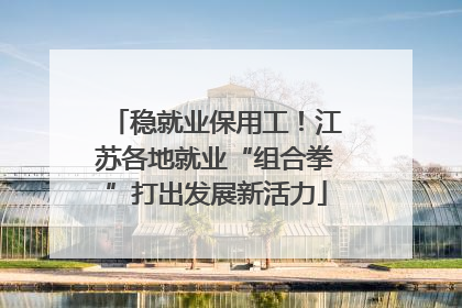 稳就业保用工！江苏各地就业“组合拳”打出发展新活力