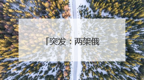 突发：两架俄战机被击中