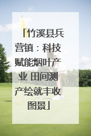 竹溪县兵营镇：科技赋能烟叶产业 田间测产绘就丰收图景