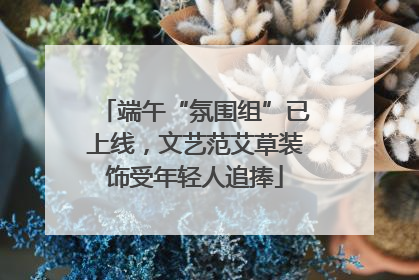 端午“氛围组”已上线，文艺范艾草装饰受年轻人追捧