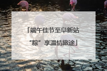 端午佳节至阜新站“粽”享温情旅途