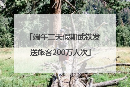 端午三天假期武铁发送旅客200万人次