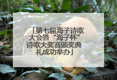 第七届海子诗歌大会暨“海子杯”诗歌大奖赛颁奖典礼成功举办