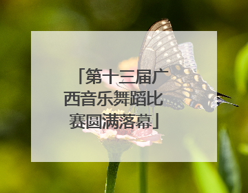 第十三届广西音乐舞蹈比赛圆满落幕