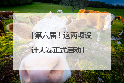 第六届！这两项设计大赛正式启动