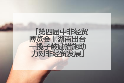 第四届中非经贸博览会丨湖南出台一揽子鼓励措施助力对非经贸发展
