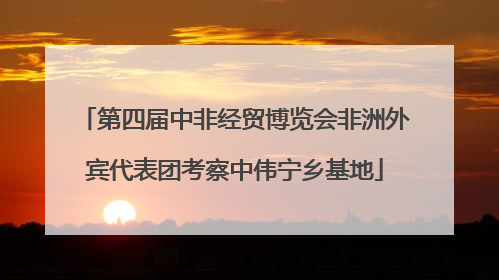 第四届中非经贸博览会非洲外宾代表团考察中伟宁乡基地