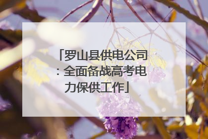 罗山县供电公司：全面备战高考电力保供工作