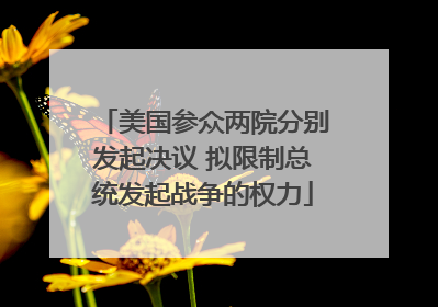 美国参众两院分别发起决议 拟限制总统发起战争的权力