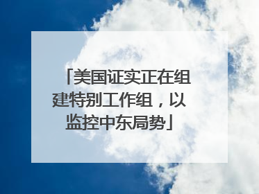 美国证实正在组建特别工作组，以监控中东局势