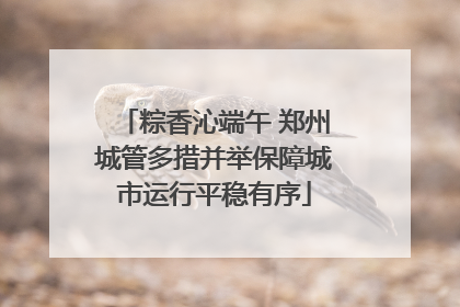 粽香沁端午 郑州城管多措并举保障城市运行平稳有序