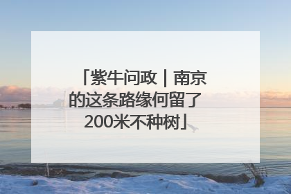 紫牛问政｜南京的这条路缘何留了200米不种树