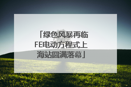绿色风暴再临 FE电动方程式上海站圆满落幕