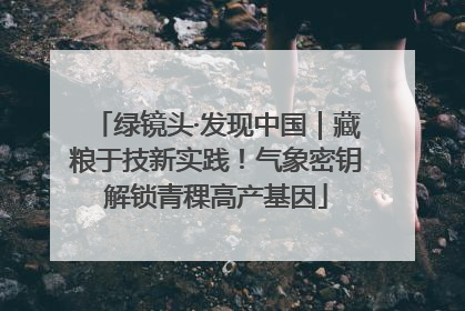 绿镜头·发现中国｜藏粮于技新实践！气象密钥解锁青稞高产基因