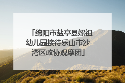 绵阳市盐亭县嫘祖幼儿园接待乐山市沙湾区政协观摩团