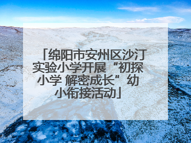 绵阳市安州区沙汀实验小学开展“初探小学 解密成长”幼小衔接活动