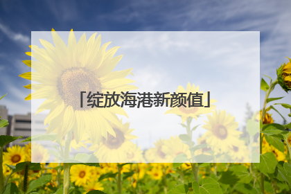 绽放海港新颜值