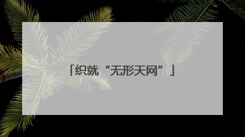 织就“无形天网”
