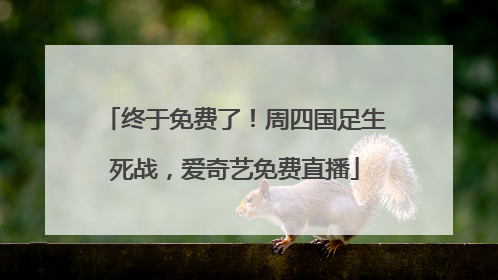终于免费了！周四国足生死战，爱奇艺免费直播