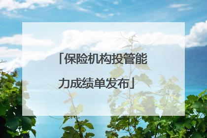 保险机构投管能力成绩单发布