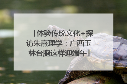 体验传统文化+探访朱熹理学：广西玉林台胞这样迎端午