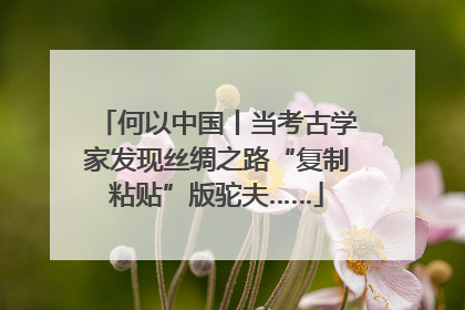 何以中国丨当考古学家发现丝绸之路“复制粘贴”版驼夫……