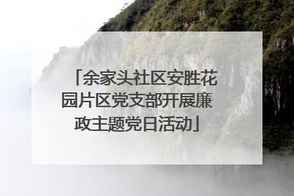 余家头社区安胜花园片区党支部开展廉政主题党日活动
