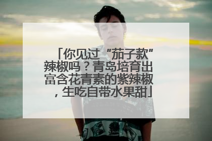 你见过“茄子款”辣椒吗？青岛培育出富含花青素的紫辣椒，生吃自带水果甜