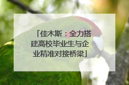 佳木斯：全力搭建高校毕业生与企业精准对接桥梁