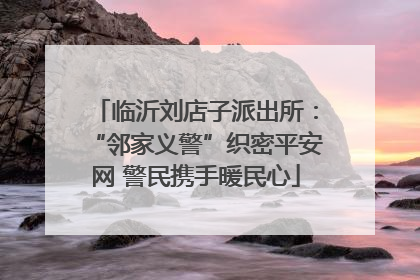 临沂刘店子派出所：“邻家义警”织密平安网 警民携手暖民心