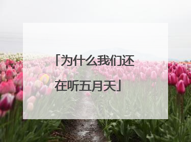 为什么我们还在听五月天