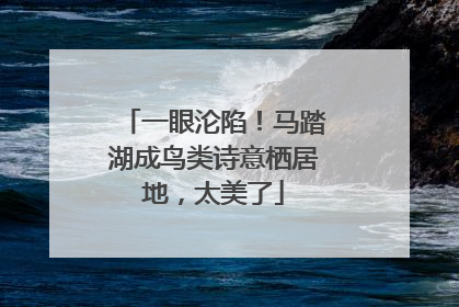 一眼沦陷！马踏湖成鸟类诗意栖居地，太美了