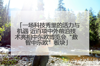 一场科技秀里的活力与机遇 近百项中外前沿技术亮相中东欧博览会“数智中东欧”板块