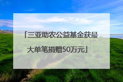 三亚助农公益基金获最大单笔捐赠50万元