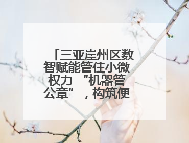 三亚崖州区数智赋能管住小微权力 “机器管公章”，构筑便民服务新生态