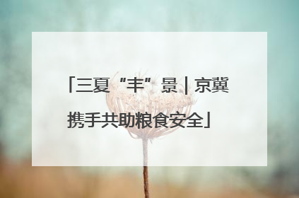 三夏“丰”景｜京冀携手共助粮食安全