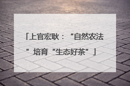 上官宏耿：“自然农法”培育“生态好茶”