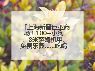 上海新晋巨型商场！100+小狗、8米萨姆机甲、免费乐园……吃喝玩乐攻略