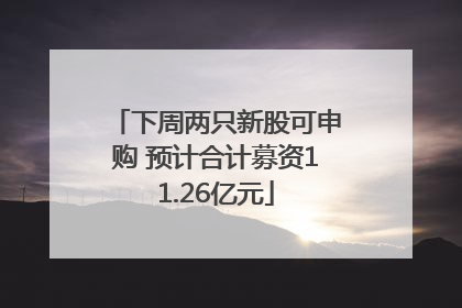下周两只新股可申购 预计合计募资11.26亿元