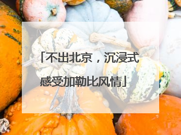 不出北京，沉浸式感受加勒比风情