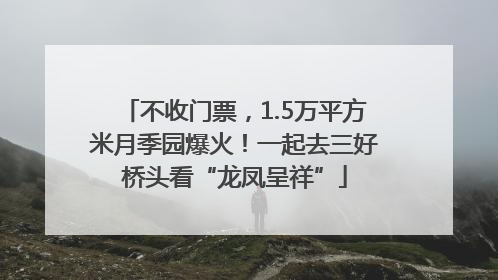 不收门票，1.5万平方米月季园爆火！一起去三好桥头看“龙凤呈祥”
