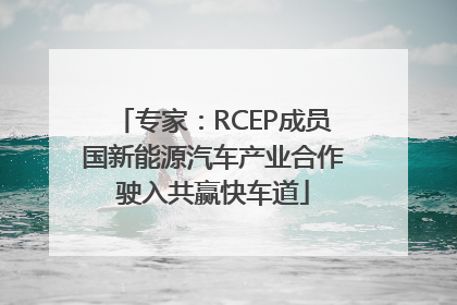 专家：RCEP成员国新能源汽车产业合作驶入共赢快车道