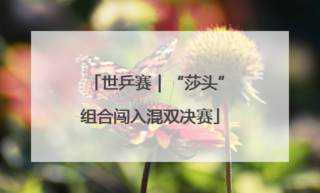 世乒赛｜“莎头”组合闯入混双决赛