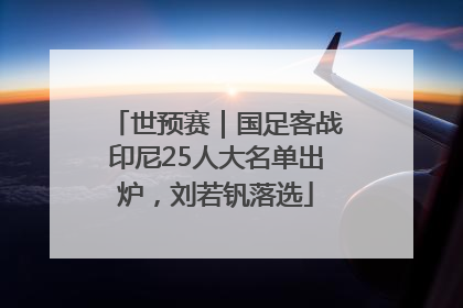 世预赛｜国足客战印尼25人大名单出炉，刘若钒落选