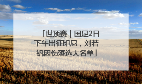 世预赛｜国足2日下午出征印尼，刘若钒因伤落选大名单
