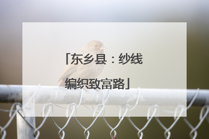 东乡县：纱线编织致富路