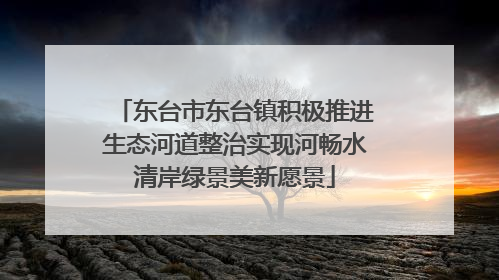 东台市东台镇积极推进生态河道整治实现河畅水清岸绿景美新愿景