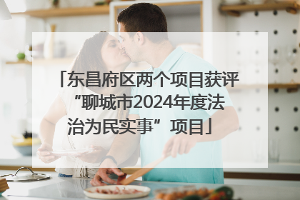 东昌府区两个项目获评“聊城市2024年度法治为民实事”项目