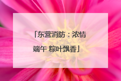 东营消防：浓情端午 粽叶飘香